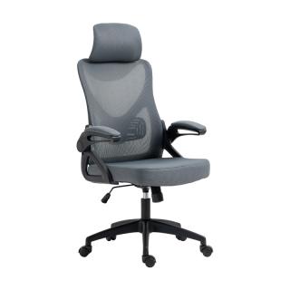 Office Chair Fylliana 21-9 in grey color ,size 63x61x128,5cm